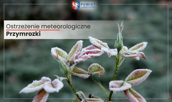 ostrzeżenie przymrozki 